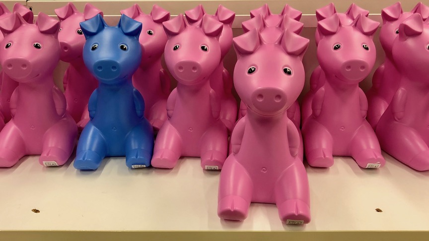 Pigs on the Shelf - Ikea