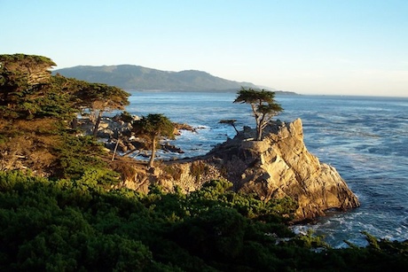 Pebble Beach Company's Lone Cypress'