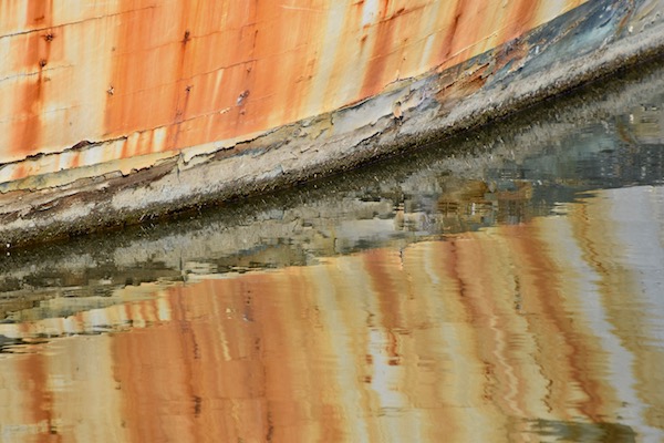 Moss Landing Harbor - November 2, 2017
