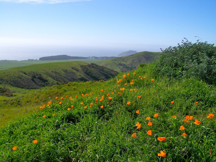 Coast Road, Big Sur