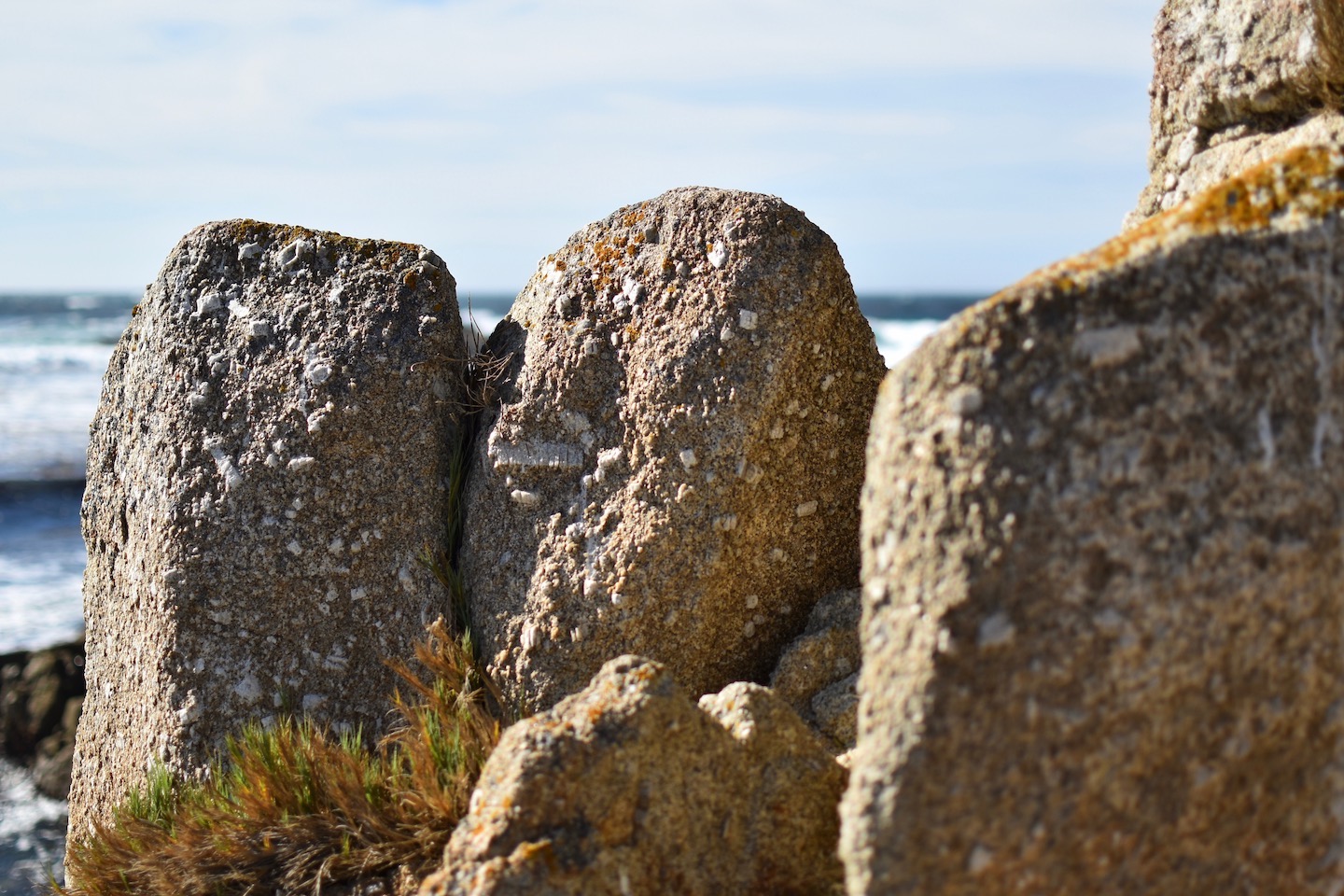 Beach Rock
