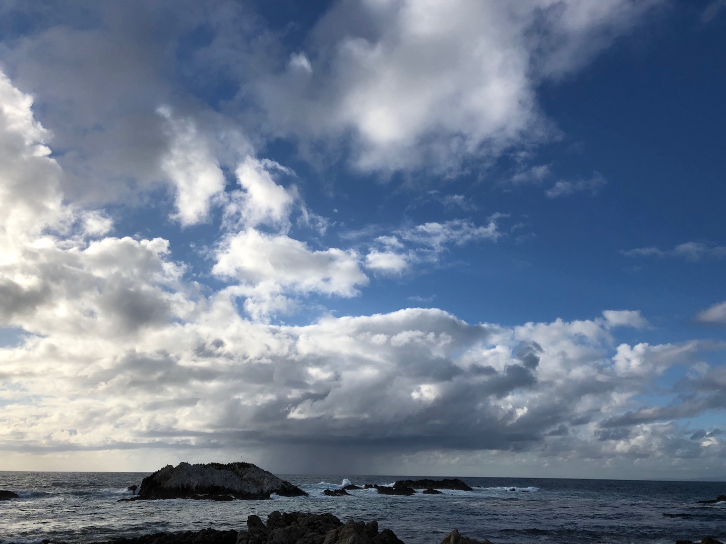 Bird Rock Virga