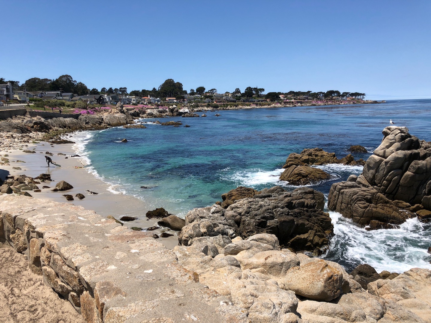 The Blue Waters of Pacific Grove