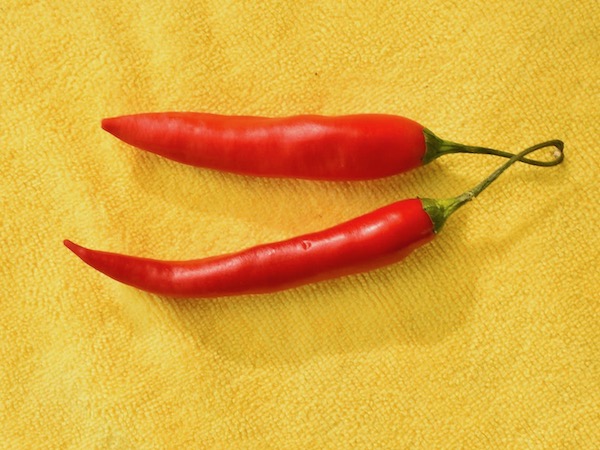 Chili