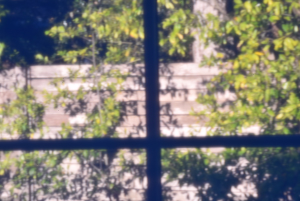 Backyard via Pinhole Lens