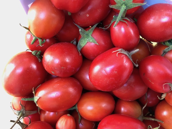 tomato